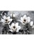Siyah Beyaz Kombini Çiçek Tüy Kombini Çerçeveli Temperli Cam Tablo 3'lü 3