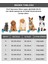 Sprit Lüks Kedi/köpek Yatağı, Kapitoneli, Kaymaz Altlık 2