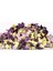 Hatmi Çiçeği Gül Hatmi Althaea Officinalis 1 kg 3