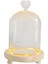 Şeffaf Cam Cloche Dome Cloche Dome Sevgililer Günü Mikro Peyzaj 9X11CM (Yurt Dışından) 4
