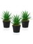 3 Adet Siyah Mini Plastik Saksıda Yapay Aloe Vera Çiçeği 1