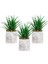 3’lü Set Mermer Görünümlü Siluet Saksıda Yeşil Yapay Aloevera 1