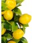 Limon Demet Yapay Bitki 5