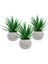 3 Adet Kıvrımlı Beton Saksıda Yeşil Yapay Kaktüs Aloevera 1