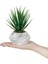 3’lü Set Mermer Görünümlü Saksıda Yapay Bitkiler Limon Aloevera Kokina 3