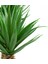 Mermer Görünümlü Yuvarlak Dünya Görünümlü Saksıda Iki Dal Yapay Kaktüs Aloevera 2