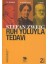 Ruh Yoluyla Tedavi-Stefan Zweig 2
