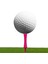 40 Golf Profesyonel Teesi - Kar Ebatlar (Yurt Dışından) 2