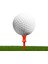 40 Golf Profesyonel Teesi - Kar Ebatlar (Yurt Dışından) 3