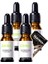 XONEHE0353 Gençsi Serumu Instant Perfection 4 Adet 30 ml + Yanında Jel 1