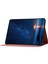 Samsung Galaxy Tab A9+ SM-X210/X216/X218 Kılıf Çift Kedi Baskılı Mikrofiber Deri Akıllı Tablet Kapak- (Yurt Dışından) 3