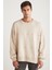 Kaylen Oversize Vizon Sweatshirt 5