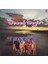 The Beach Boys – Beach Boys Lp (Plak) 1