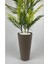 Yapay Areka Ağacı ve Bambu Gövdeli Salon Çiçeği, Bej, 150cm, Saksı, Beyaz 3