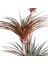 Tekno Trust Yapay Avize Çiçeği Bitkisi (Yucca Ağacı) 200 Yapraklı Yeşil-Bordo 170 Cm. 2