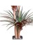 Tekno Trust Yapay Avize Çiçeği Bitkisi (Yucca Ağacı) 200 Yapraklı Yeşil-Bordo 170 Cm. 3