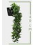 Tekno Trust Yapay Çiçek Elmas Saksı Içerisinde Yoğun Dallı 40 Cm Limon Yaprağı Sarkıtı 5