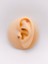 Cerrahi Çelik Piercing Zirkon Taşlı Minimal Kelebek Figürlü Kıkırdak Helix Tragus PIERCING(1ADET) 1