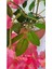 Tekno Trust Yapay Çiçek Kiremit Renk Saksıda Soft Pembe Akasya Sarkıtı 5 Kök 70-80cm 3
