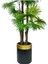 Tekno Trust Yapay Ağaç Yelpaze Palmiye 4katlı Fanpalm 32 Yaprak Altın Kemerli Siyah Saksıda 170*65cm 3