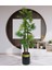 Tekno Trust Yapay Ağaç Yelpaze Palmiye 4katlı Fanpalm 32 Yaprak Altın Kemerli Siyah Saksıda 170*65cm 5