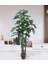 Yapay Monstera Çiçek, 135cm, 54 Yaprak, Siyah Saksı, Canlı ve Şık Dekoratif Bitki 1
