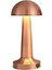 Masa Üstü Lamba - Ledli Masa Lambası - Şarjlı Mantar Gece Lambası LED Abajur - Bronz Renk - 25CM 1