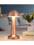 Masa Üstü Lamba - Ledli Masa Lambası - Şarjlı Mantar Gece Lambası LED Abajur - Bronz Renk - 25CM 2