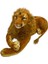 Aslan Buyuk Boy Pelus 1