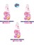 Bingo Soft Konsantre Çamaşır Yumuşatıcısı Mutlu Yuvam 1440 ml x 3 Adet 1