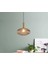 Mylights Rustik Bal Sarkıt Avize 25CM Bronz Askılı Spor Tekli Avize 1