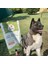 Yetişkin Köpek Maması 15 kg + Balık Etli Kito Fresh (Levrek) x 6 2