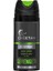 Serengeti Fougere & Marıne Erkek Deodorant 150 ml 1