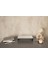 Metal Premium Organizer Sehpa - Metal Ünite Düzenleyici - 2 3
