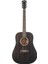 Dfed Deep Forest Ebony D Akustik Gitar 2