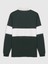 Erkek Koyu Yeşil Gap Logo Polo Yaka Colorblock T-Shirt 3
