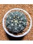 Gymnocalycium Spegazzini 4,5 cm Boyutunda Özel Tür 1