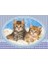 120 Parça Yavru Kediler Çocuk Puzzle 1
