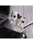Type-C Hızlı Şarj Kablosu Için Humping Dog 1.2m Şarj Kablosu Beyaz (Yurt Dışından) 4