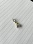 Sallantılı Paten Pndr Charm 1