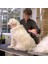 23 kg Üzeri Uzun Tüylü Köpekler İçin Tüy Toplayıcı Ergonomik Tarak (4778) 2
