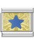 Golden Star Charm 1
