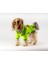 Motorcu Köpek Sweatshirt 1