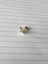 Big North Star Piercing Gold (Arkası Toplu) 1