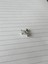 Kuyruklu Çiçek Piercing (Arkası Toplu) 1