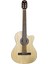 Elektro Klasik Gitar 1