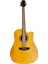 Akustik Gitar 1