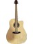 Akustik Gitar 1