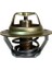 1080568 - Termostat 1