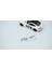 Rs Bagaj 3m Krom Metal Logo Arma Renault Ile Uyumlu 2